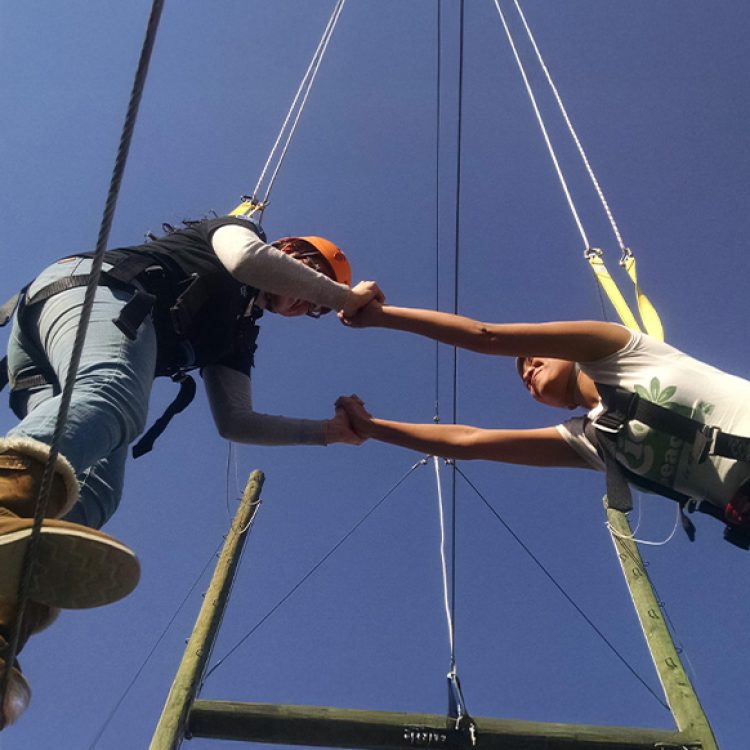 Colaboración y Trabajo en Equipo